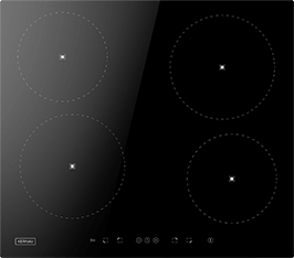 Induktionsfeld Reparatur Landshut